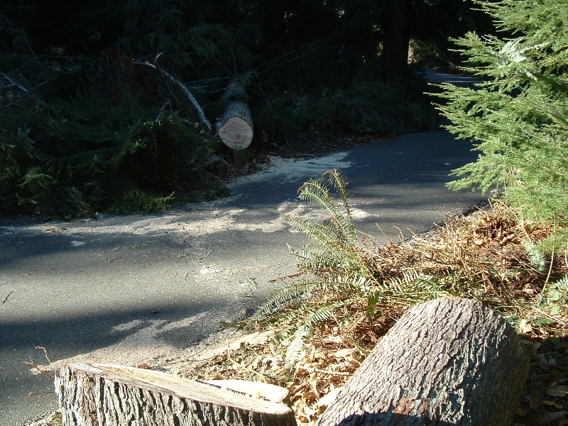 The spot after a bit of cleanup