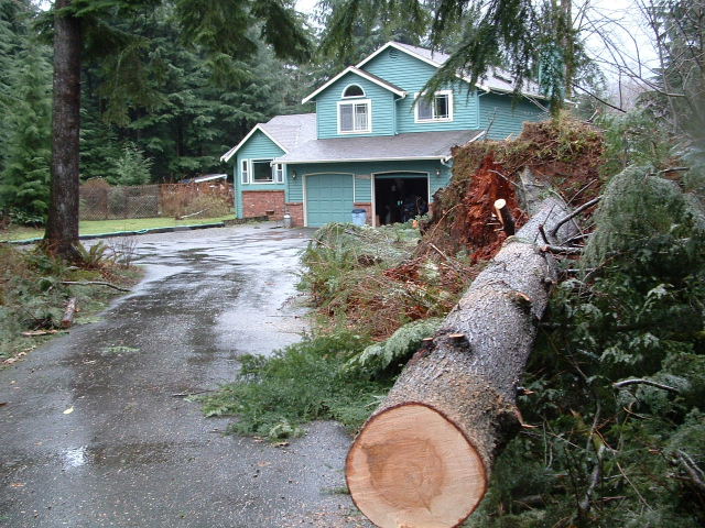 And after being cut