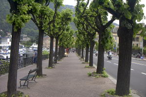 the beautiful waterfront walk of Como
